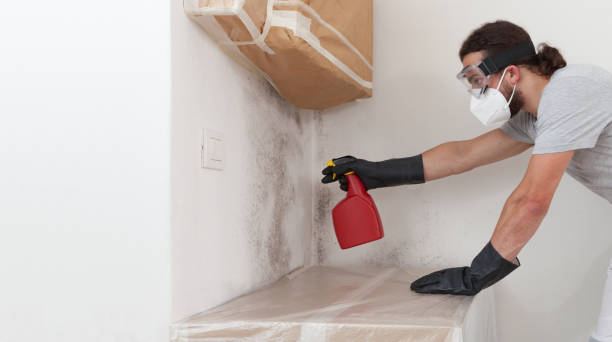 Professional Attic Mold Remediation technician working in Villanova, PA