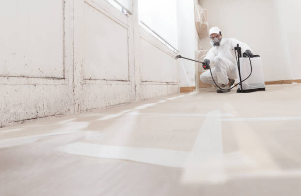 24/7 Emergency Attic Mold Remediation experts in Villanova, PA
