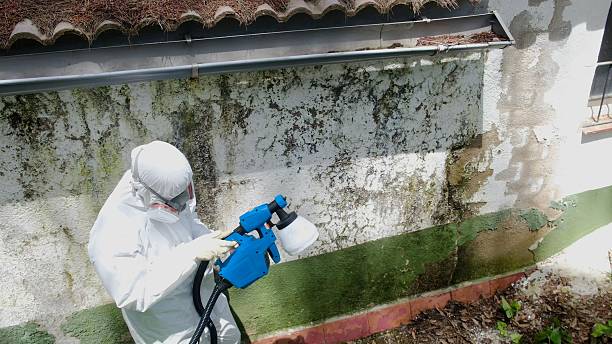 Top rated local Attic Mold Remediation specialists in Villanova, PA